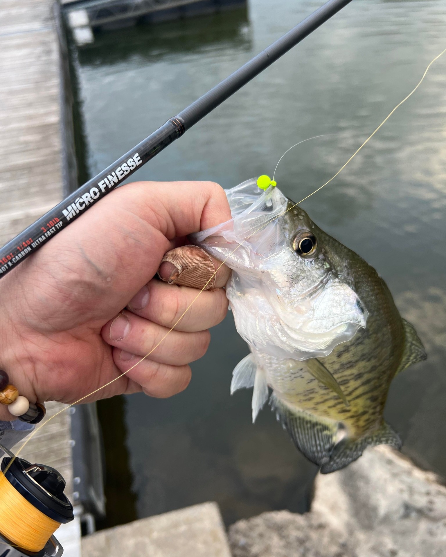 4/21/2023 Crappies starting to bite.  Trout fishing in full swing. Pine Creek Fishing Well.  Tioga County Fishing Report